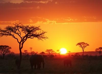 Afrika